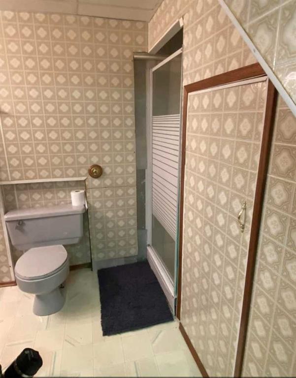 49425 Hwy 870, Innisfree, AB - Indoor Photo Showing Bathroom