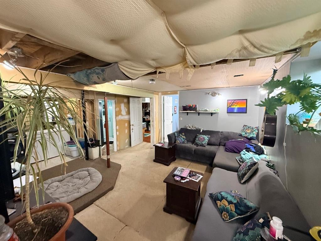 5115 56A Street, Lloydminster, AB - Indoor Photo Showing Basement