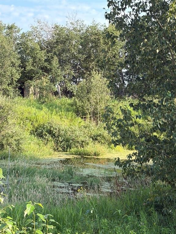 Se 26-52-3 W4 Twp Road 524, Marwayne, AB