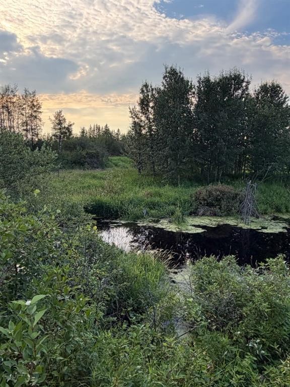 Se 26-52-3 W4 Twp Road 524, Marwayne, AB