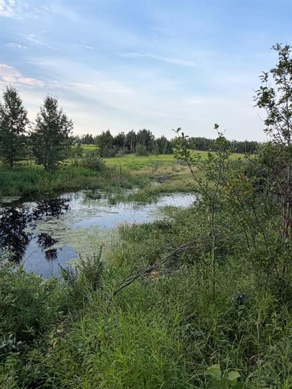 Se 26-52-3 W4 Twp Road 524, Marwayne, AB