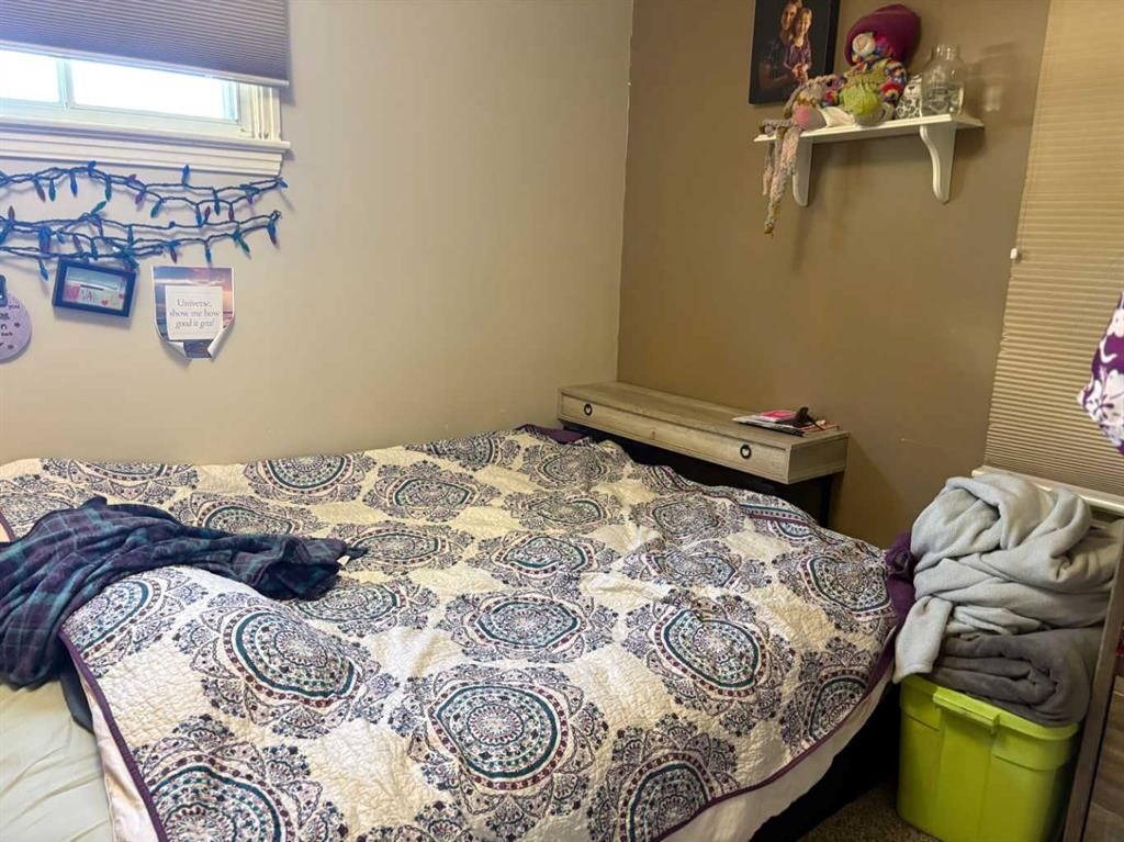 4831 52 Street, Innisfree, AB - Indoor Photo Showing Bedroom