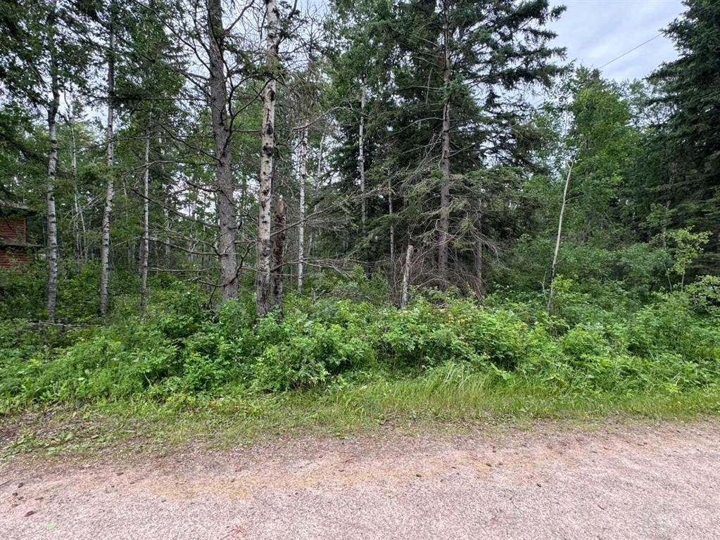 137 Walanne Way, Turtle Lake, SK