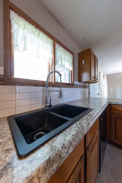 3007 52 Avenue, Lloydminster, AB - Indoor Photo Showing Kitchen With Double Sink