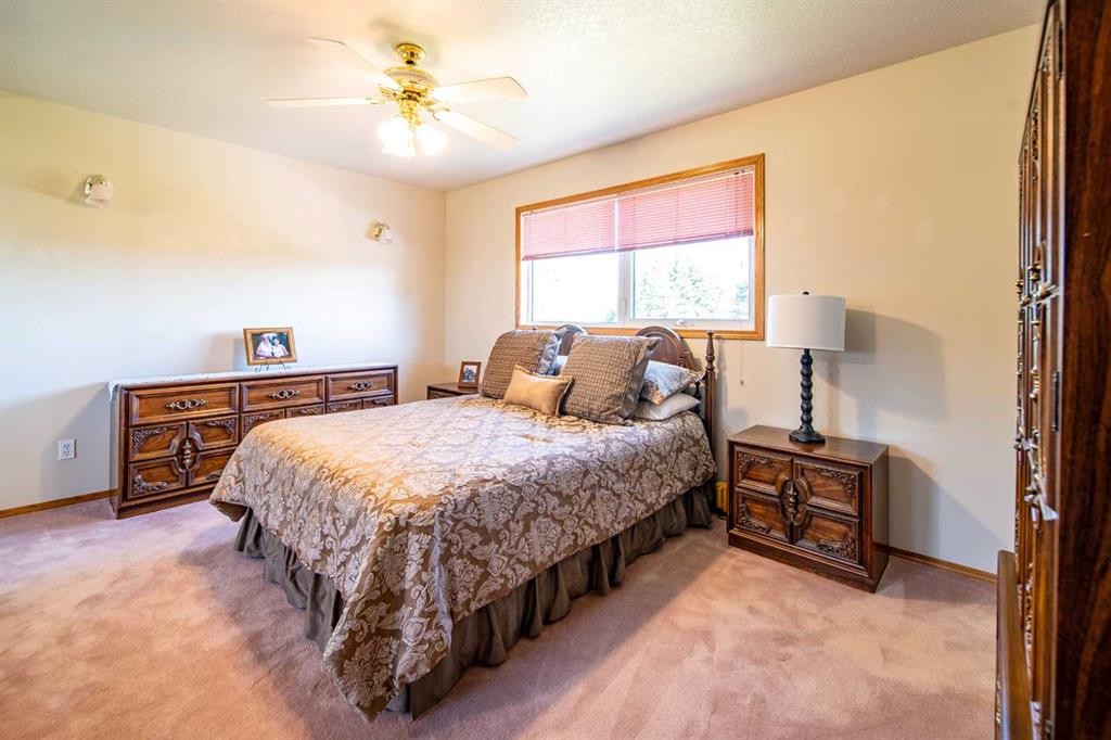 405065 Rge Rd 63, Czar, AB - Indoor Photo Showing Bedroom