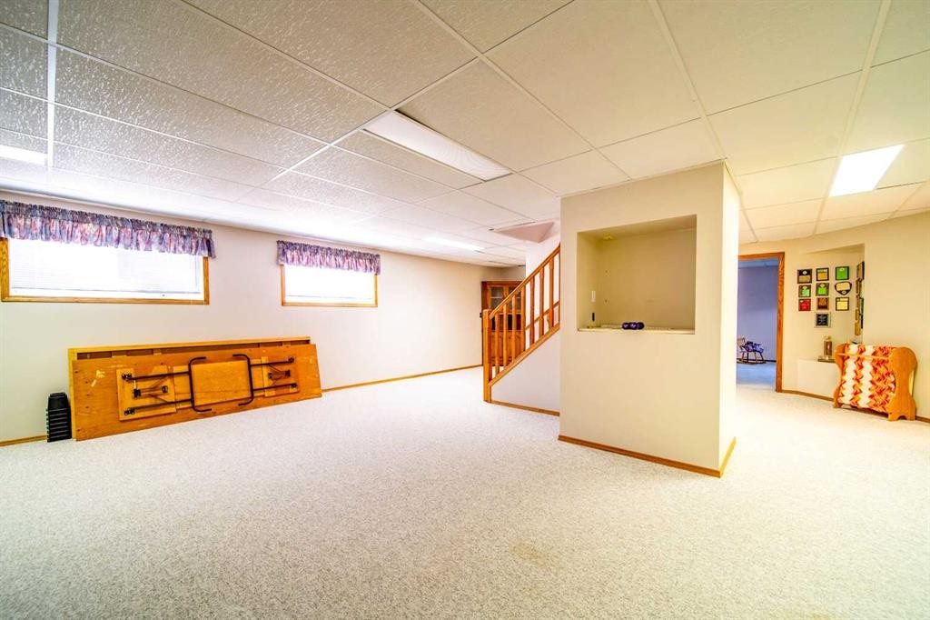 405065 Rge Rd 63, Czar, AB - Indoor Photo Showing Basement