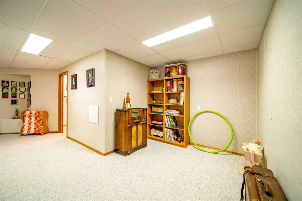 405065 Rge Rd 63, Czar, AB - Indoor Photo Showing Basement