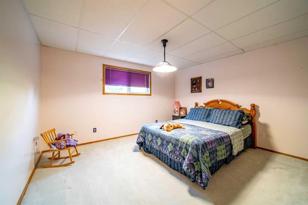 405065 Rge Rd 63, Czar, AB - Indoor Photo Showing Bedroom