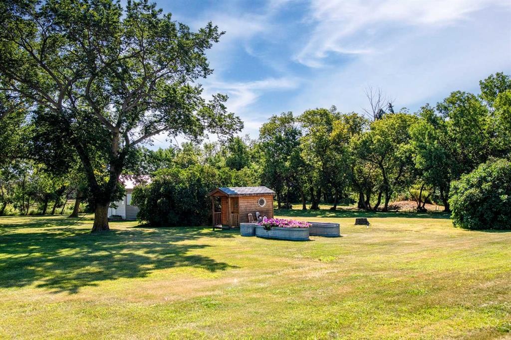 405065 Rge Rd 63, Czar, AB - Outdoor