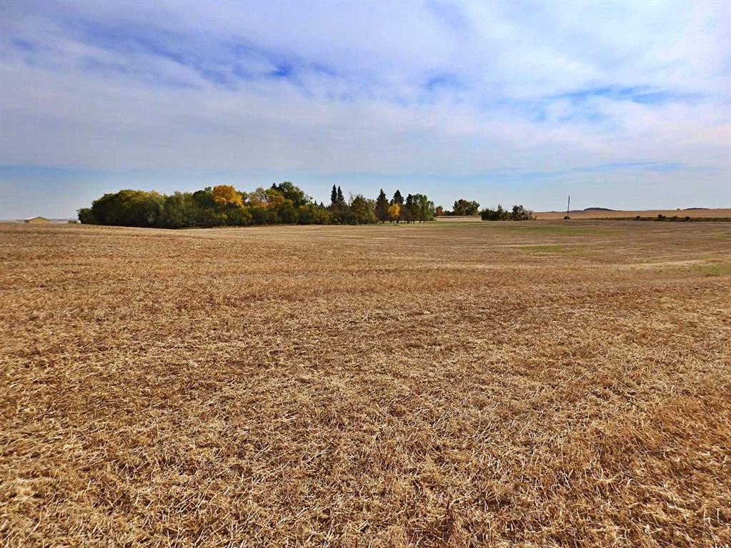 45070 514 Township, Rural Vermilion River, County Of, AB