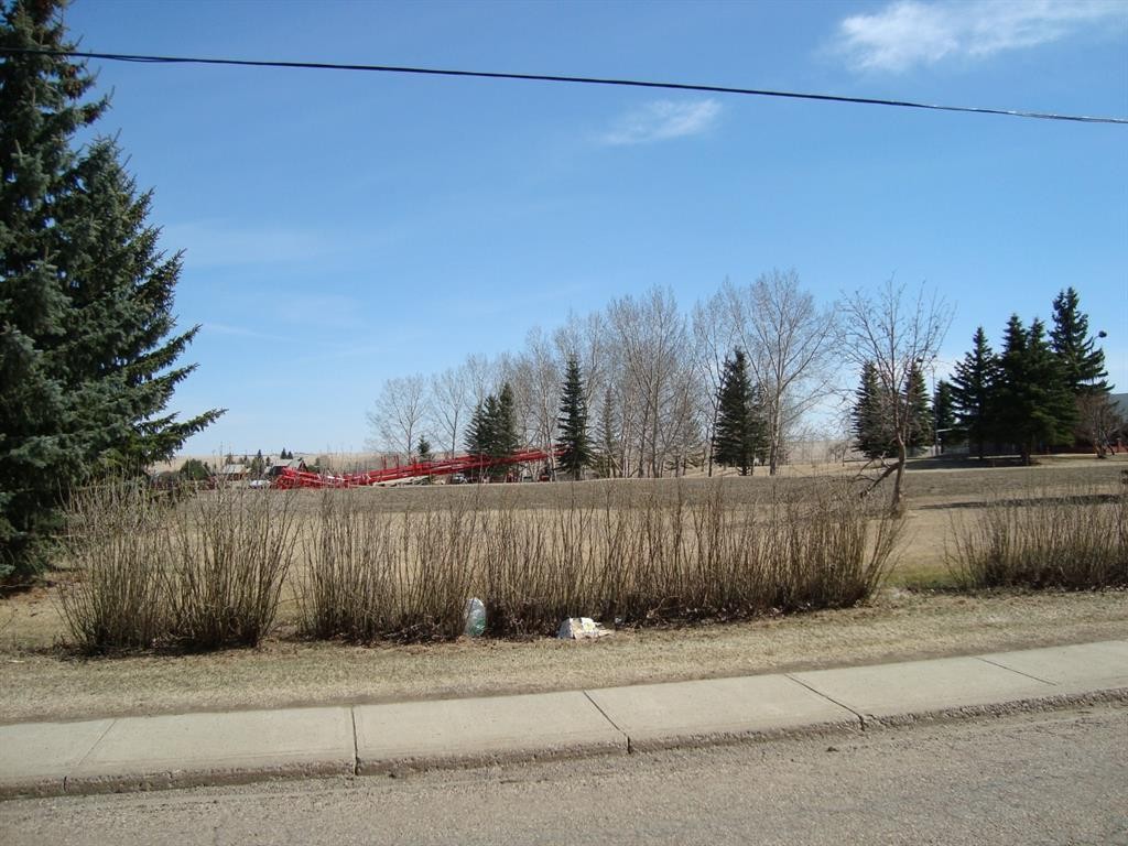 207,209 Main Street, Trochu, AB