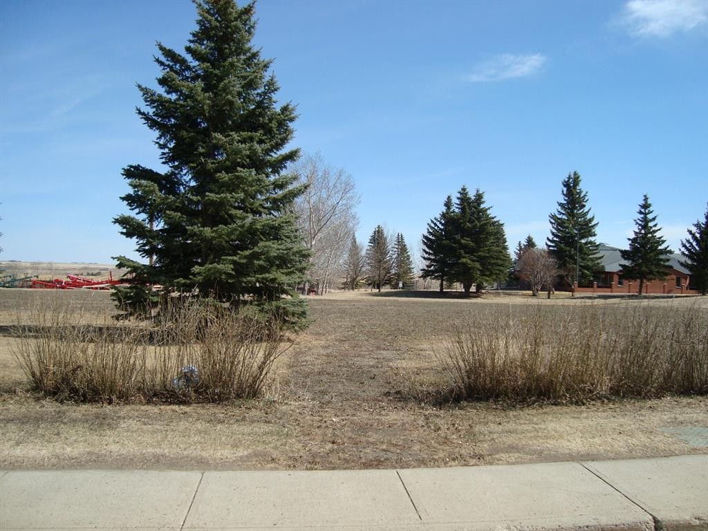 207,209 Main Street, Trochu, AB