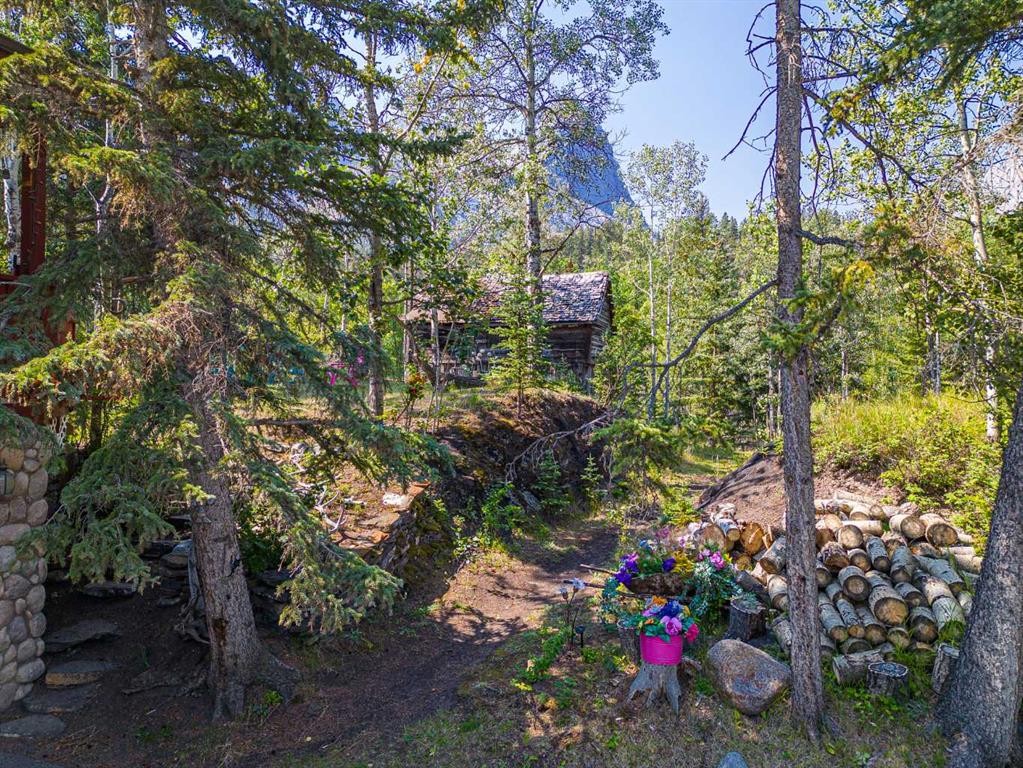 107 Three Sisters Drive, Canmore, AB