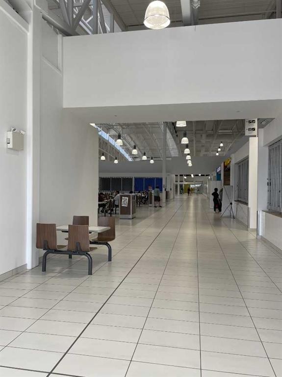 539-260300 Writing Creek Crescent, Rural Rocky View County, AB