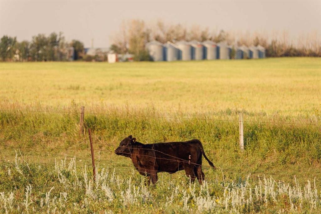 Parcel 8 Range Road 271 Just South Of Highway 9., Rural Rocky View County, AB