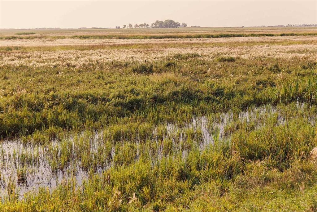 Parcel 8 Range Road 271 Just South Of Highway 9., Rural Rocky View County, AB