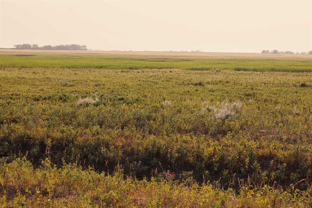 Parcel 8 Range Road 271 Just South Of Highway 9., Rural Rocky View County, AB