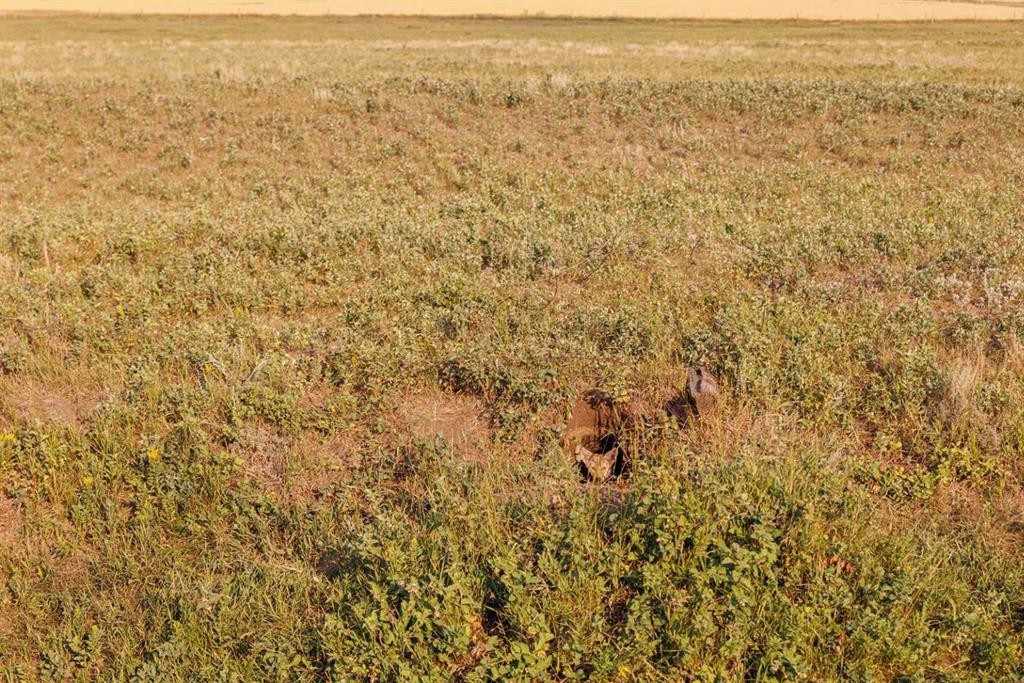 Parcel 8 Range Road 271 Just South Of Highway 9., Rural Rocky View County, AB
