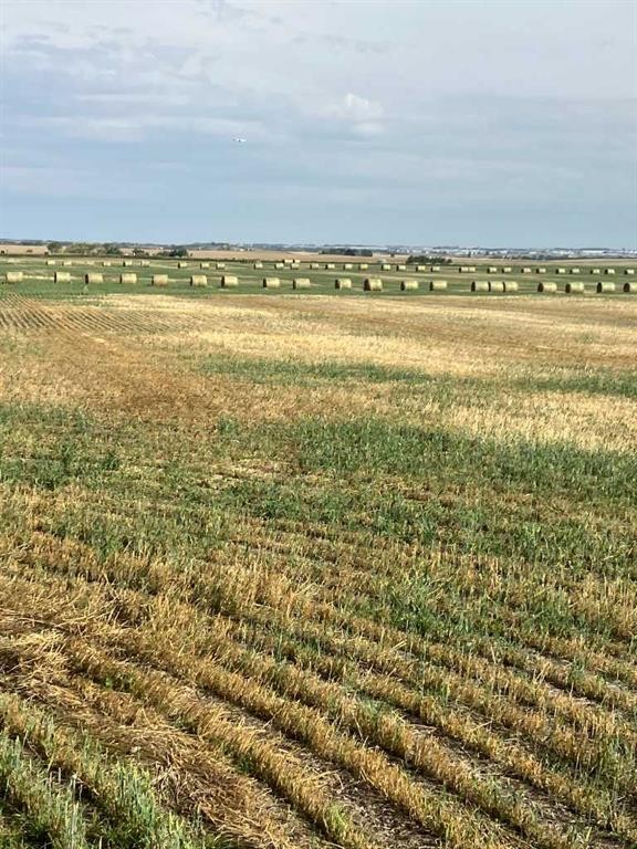 Range Rd 14 Road 14, Rural Rocky View County, AB