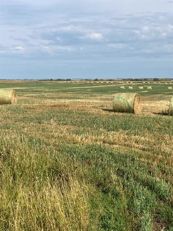Range Rd 14 Road 14, Rural Rocky View County, AB