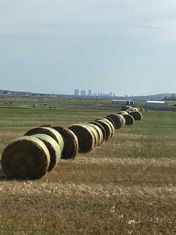 Range Rd 14 Road 14, Rural Rocky View County, AB