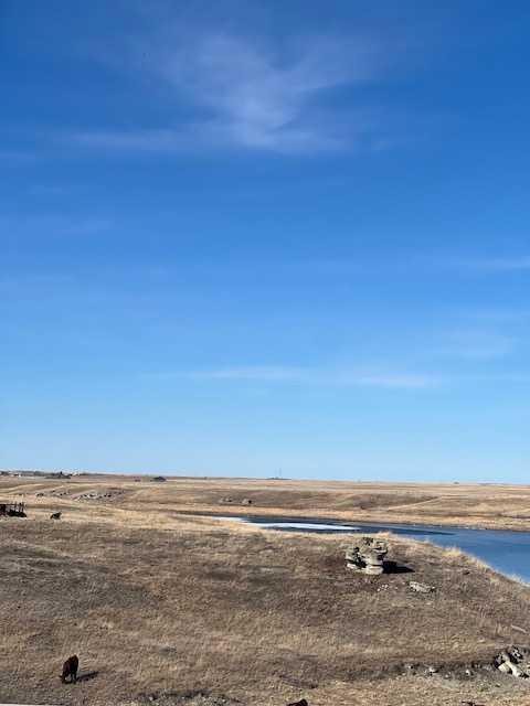 14 Pine Coulee Ranch Sw, Stavely, AB