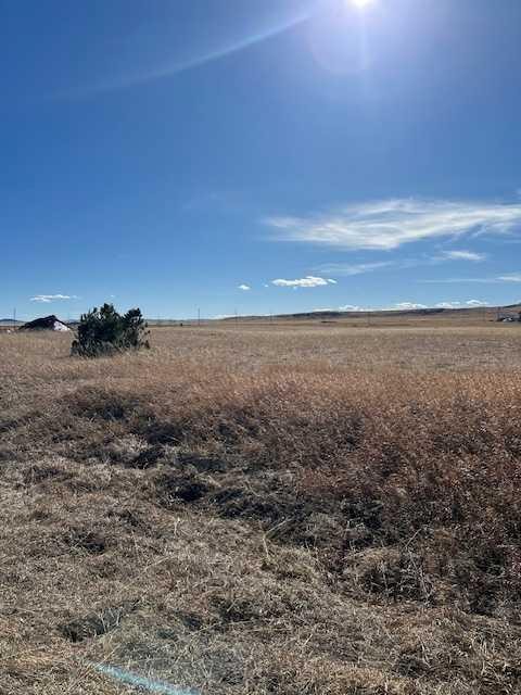 14 Pine Coulee Ranch Sw, Stavely, AB