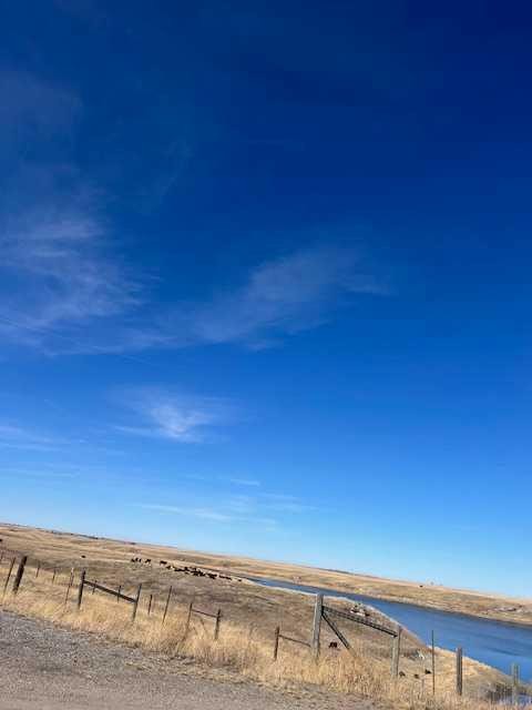 14 Pine Coulee Ranch Sw, Stavely, AB