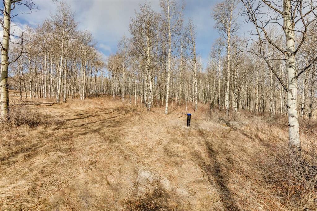 Range Rd 55 - Forestry Trunk Rd (Se 30-26-5-5), Rural Rocky View County, AB