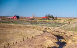 204050 RR 245 Rural Vulcan County, AB T0L 1P0