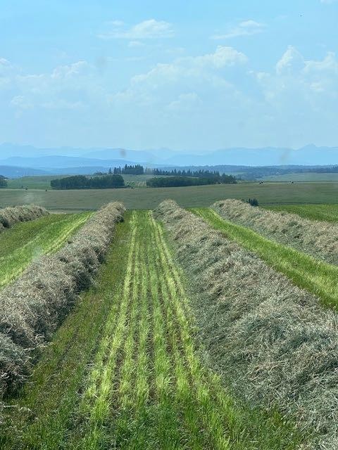 177 Avenue, Rural Foothills County, AB