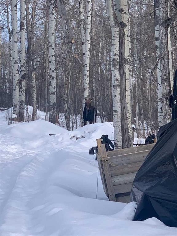 Range Road 44, Rural Mountain View County, AB