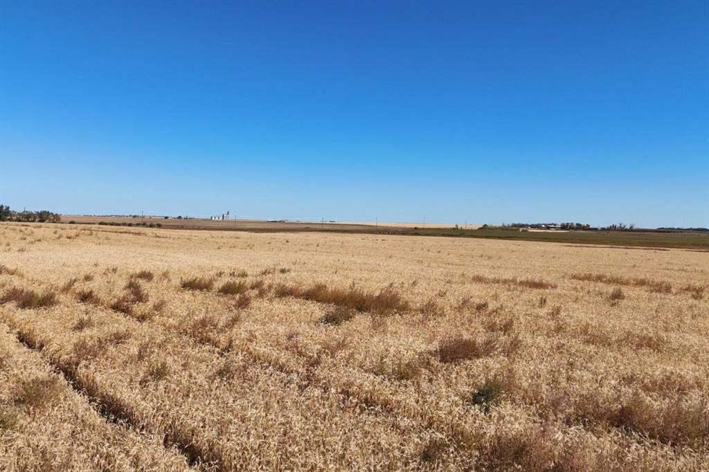 Highway 9 Highway Ne, Rural Rocky View County, AB