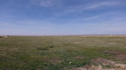 Vulcan county Rural Vulcan County, AB T0L 2B0