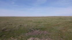 Vulcan county Rural Vulcan County, AB T0L 2B0