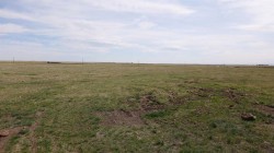 Vulcan county Rural Vulcan County, AB T0L 2B0