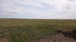 Vulcan county Rural Vulcan County, AB T0L 2B0