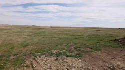 Vulcan county Rural Vulcan County, AB T0L 2B0