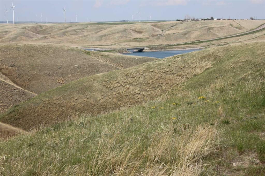 26 White Pelican Way, Rural Vulcan County, AB