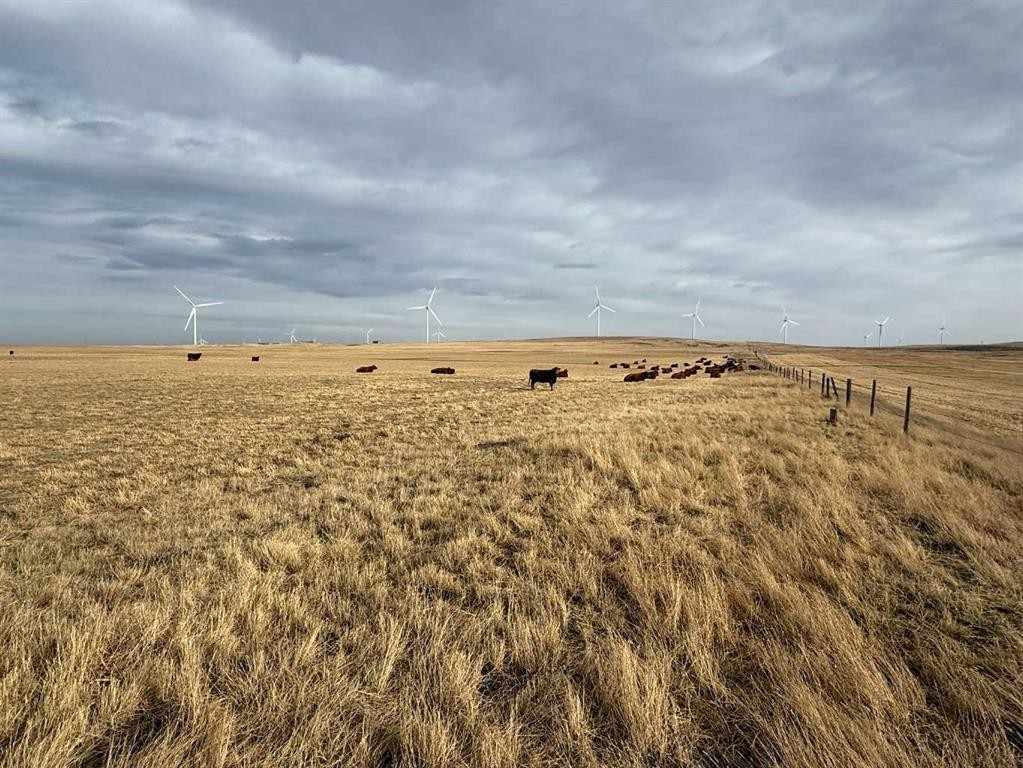 142 Township Range Rd. 225 Township, Rural Vulcan County, AB