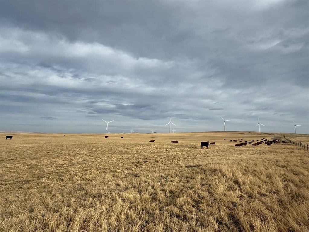 142 Township Range Rd. 225 Township, Rural Vulcan County, AB