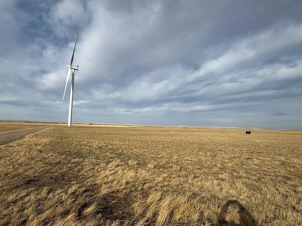 142 Township Range Rd. 225 Township, Rural Vulcan County, AB