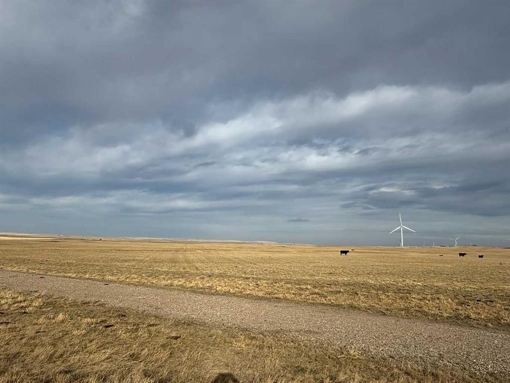 142 Township Range Rd. 225 Township, Rural Vulcan County, AB