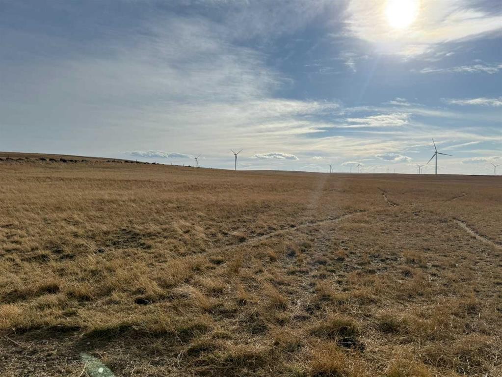 142 Township Range Rd. 225 Township, Rural Vulcan County, AB