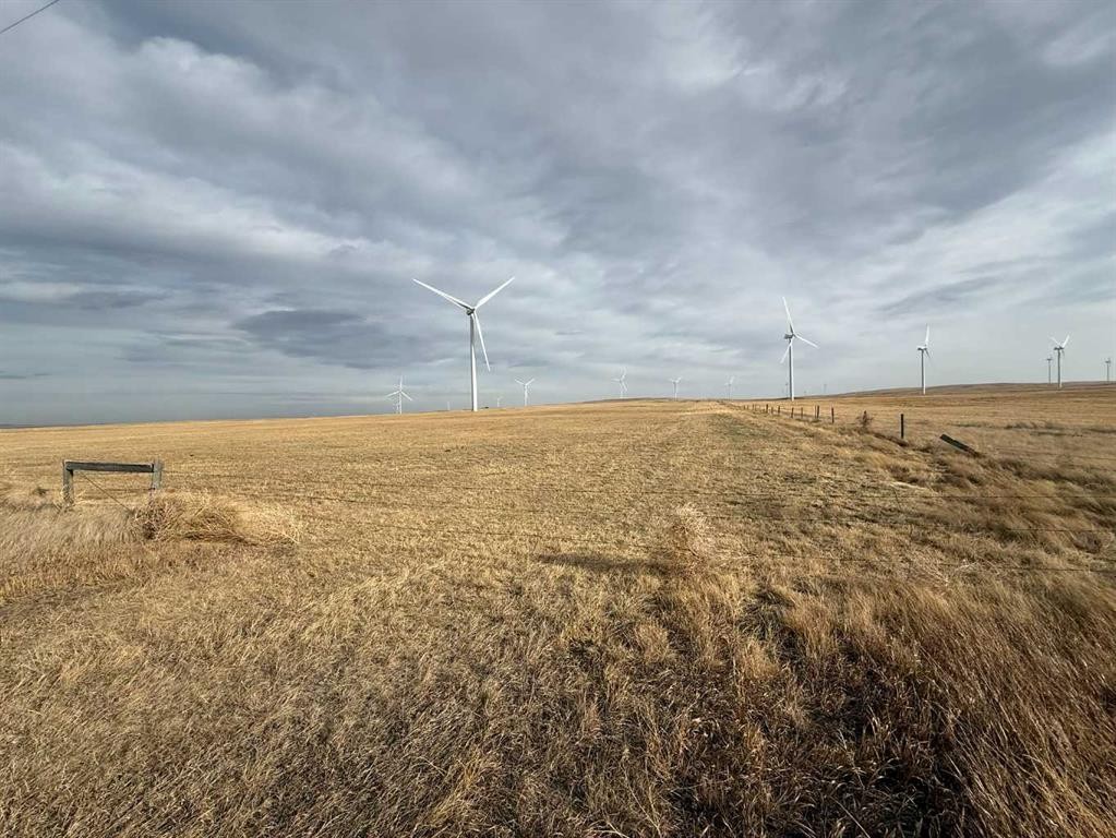 142 Township Range Rd. 225 Township, Rural Vulcan County, AB