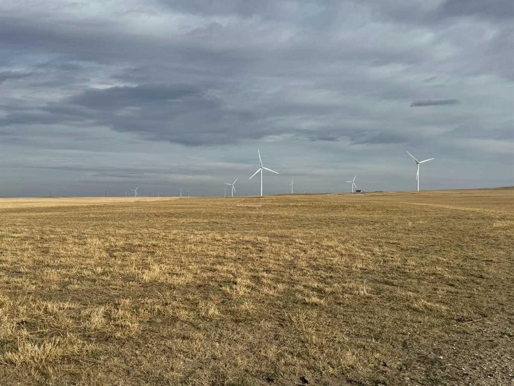 142 Township Range Rd. 225 Township, Rural Vulcan County, AB