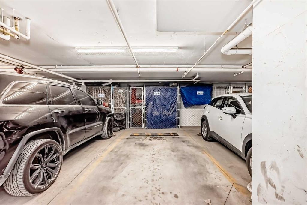 3302-240 Skyview Ranch Road Ne, Calgary, AB - Indoor Photo Showing Garage