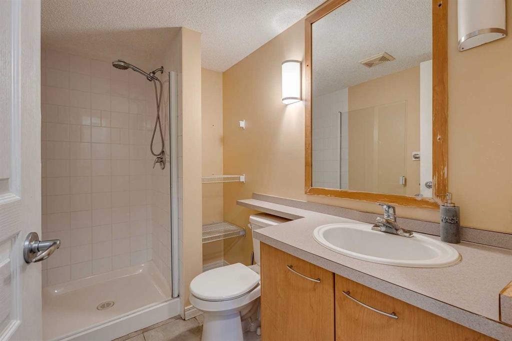 329-22 Richard Place Sw, Calgary, AB - Indoor Photo Showing Bathroom
