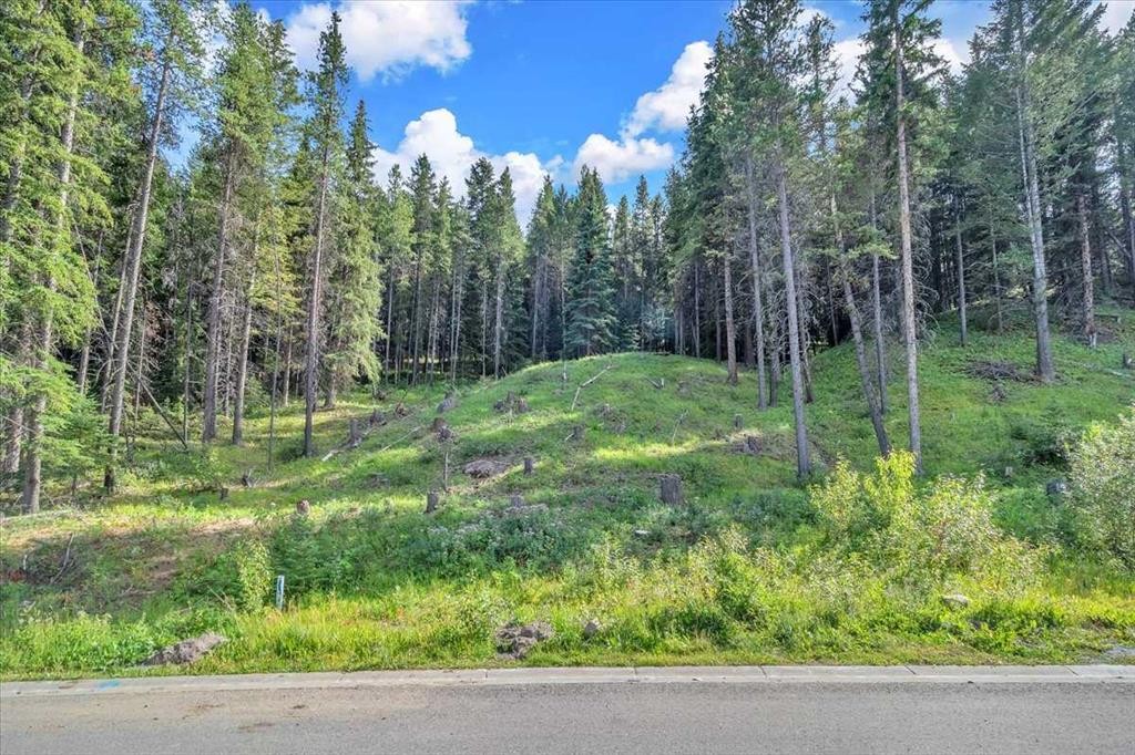 262 Southmore Place, Blairmore, AB