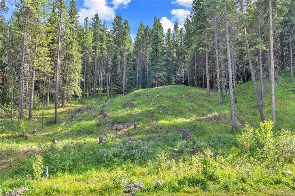 262 Southmore Place, Blairmore, AB